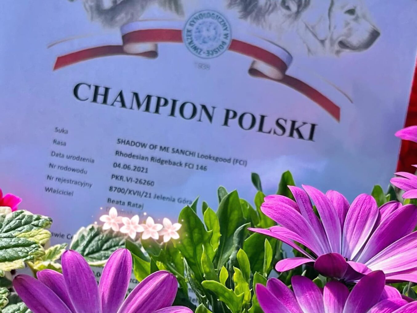 SANCHE ukończyła Championat Polski