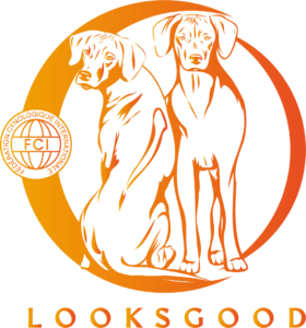 Logo Looksgood FCI